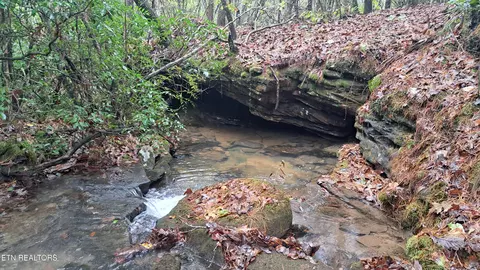 lot23 Cornerstone Dr, Rockwood, TN 37854