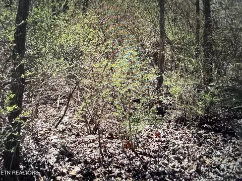 0 Tenthknight, Crossville, TN 38555