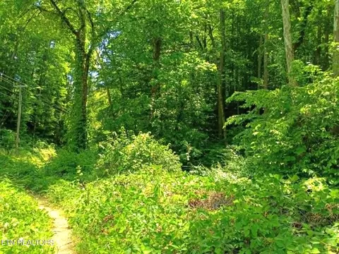 9025 Conner Rd, Powell, TN 37849 photo 6