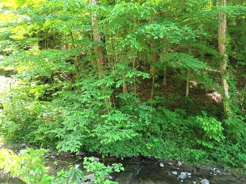 9025 Conner Rd, Powell, TN 37849 photo 7