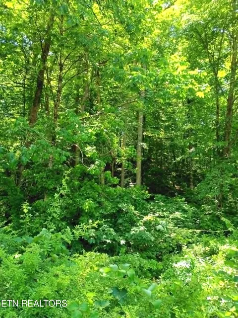 9025 Conner Rd, Powell, TN 37849 photo 8