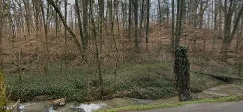 9025 Conner Rd, Powell, TN 37849 photo 15