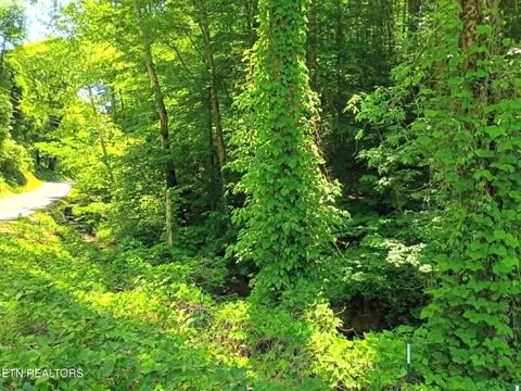 9025 Conner Rd, Powell, TN 37849 photo 2