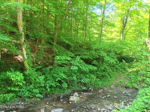 9025 Conner Rd, Powell, TN 37849 photo 4