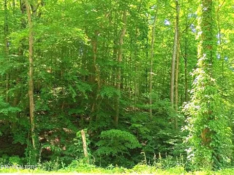 9025 Conner Rd, Powell, TN 37849 photo 9