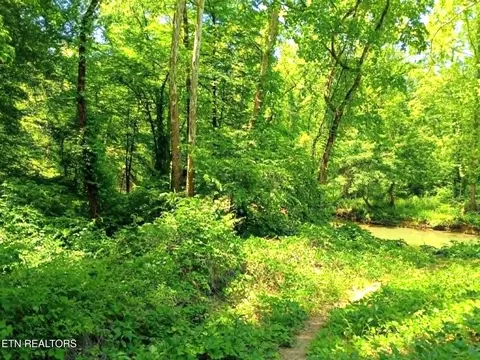 9025 Conner Rd, Powell, TN 37849 photo 5