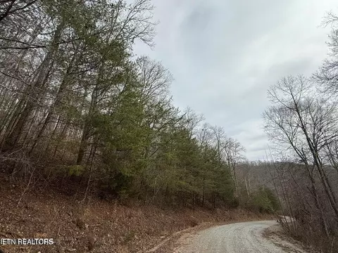 Jones Ridge Rd, Speedwell, TN 37870