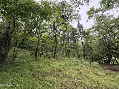 940 Riley Creek Rd, Whitleyville, TN 38588