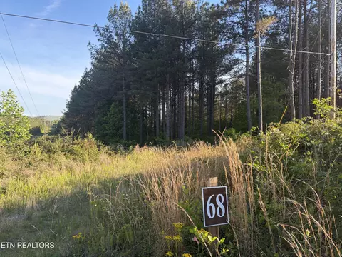lot68 Black Bear Ln, Sunbright, TN 37872