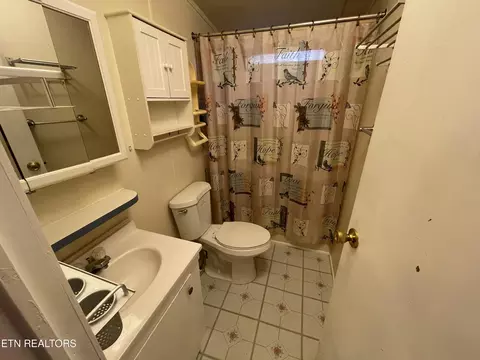 Bath - 110 3rd St, Corryton, TN 37721 photo 3 of 3