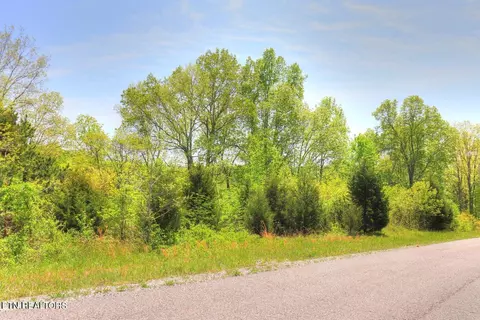 lot173 Saddleridge Dr, Speedwell, TN 37870