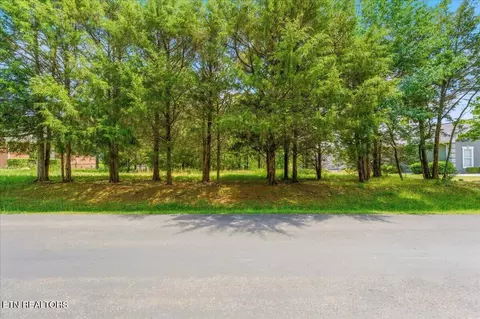 115 Eladi Tr, Vonore, TN 37885