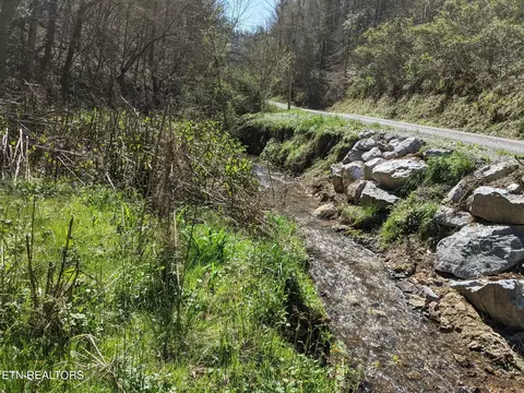 760 Black Branch Rd, Del Rio, TN 37727