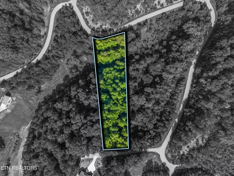 lot487 Magnolia Ln, Sharps Chapel, TN 37866