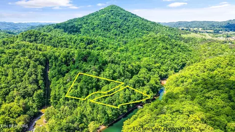 12 Mountain Shores Road, New Tazewell, TN 37825