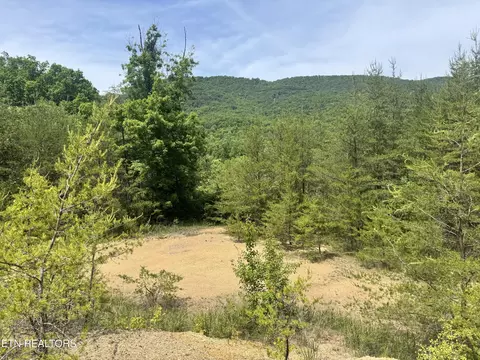 Other - 955 Rock Haven Rd, Bean Station, TN 37708 photo 10 of 12
