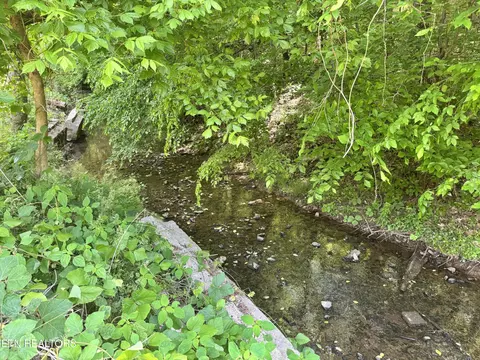 View/Area - 955 Rock Haven Rd, Bean Station, TN 37708 photo 2 of 2