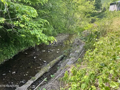 Other - 955 Rock Haven Rd, Bean Station, TN 37708 photo 2 of 12