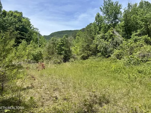 Other - 955 Rock Haven Rd, Bean Station, TN 37708 photo 6 of 12