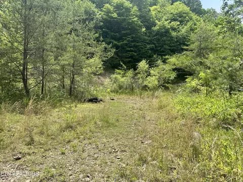 Exterior - 955 Rock Haven Rd, Bean Station, TN 37708 photo 4 of 9