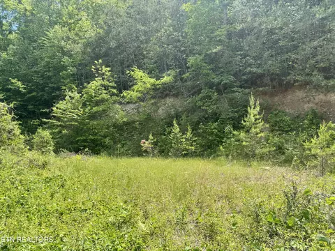 Other - 955 Rock Haven Rd, Bean Station, TN 37708 photo 7 of 12