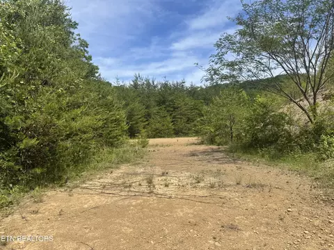 Other - 955 Rock Haven Rd, Bean Station, TN 37708 photo 9 of 12