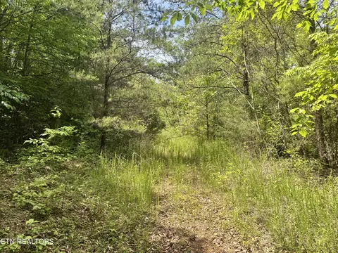 Other - 955 Rock Haven Rd, Bean Station, TN 37708 photo 5 of 12