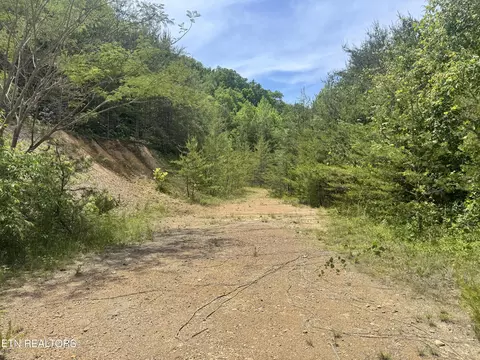 Other - 955 Rock Haven Rd, Bean Station, TN 37708 photo 8 of 12