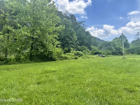 Other - 955 Rock Haven Rd, Bean Station, TN 37708 photo 12 of 12