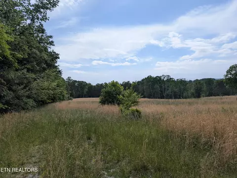 1615 Burdette Rd, Grandview, TN 37337