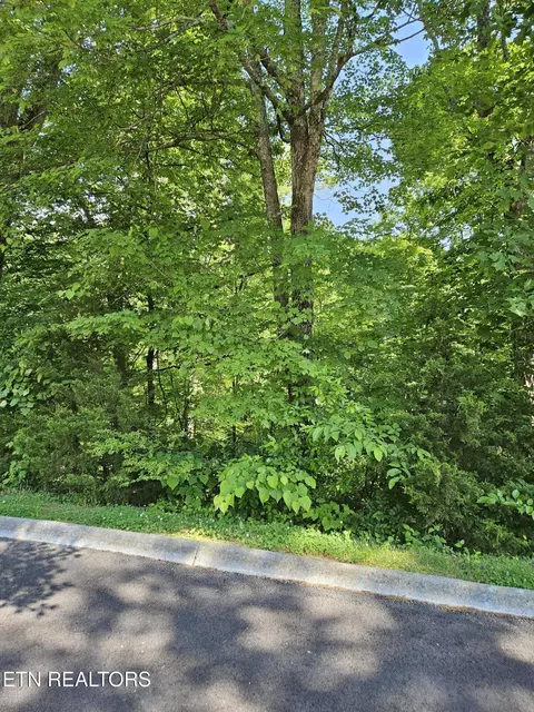 lot15 Saddleback Way, Sevierville, TN 37862
