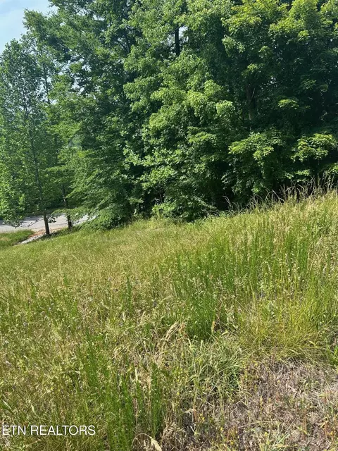 lot214 Suncrest Cv, La Follette, TN 37766