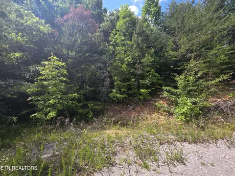 Ashley, Maynardville, TN 37807