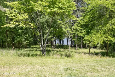 772 Wood Duck Dr, Vonore, TN 37885