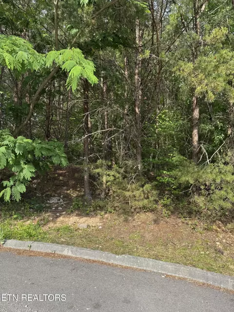 seth rd, Pigeon Forge, TN 37863 photo 2