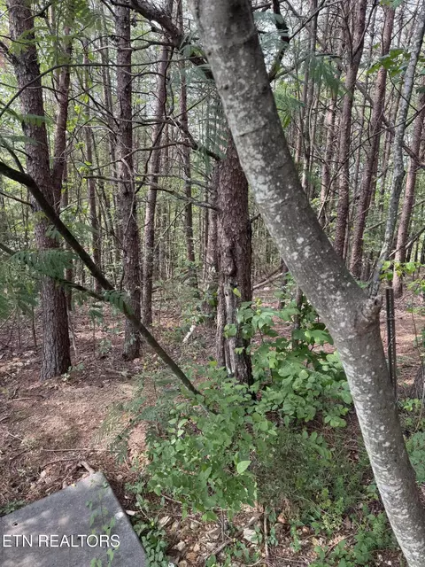 seth rd, Pigeon Forge, TN 37863