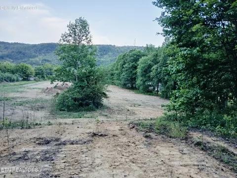 3134 Highway 297, Newcomb, TN 37819