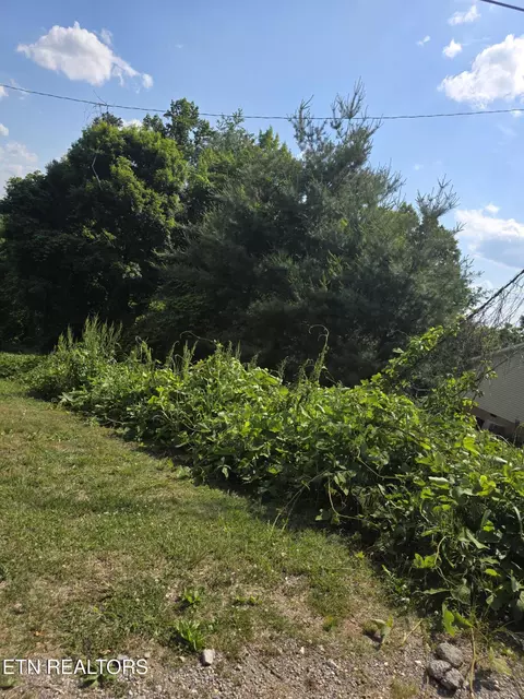Gregory Lane, Maynardville, TN 37807