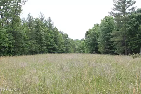 232 Wright Cemetery Rd, Allardt, TN 38504