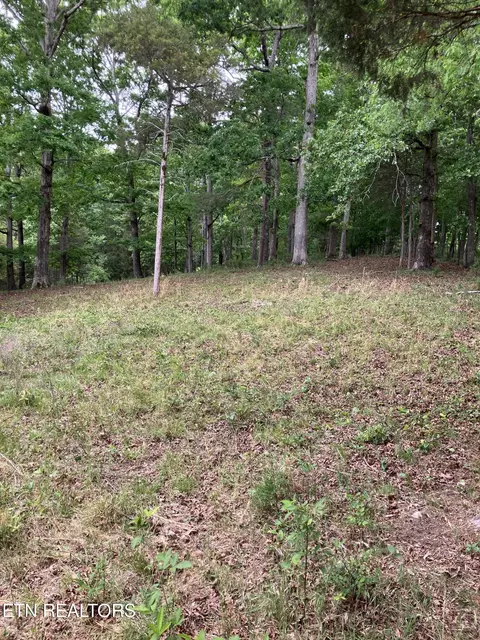 26450 Stockton Valley Rd, Philadelphia, TN 37846