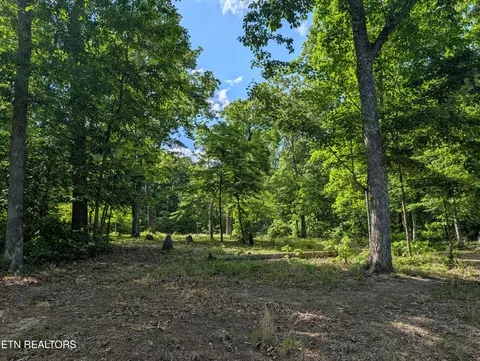 lot94 95 Red Oak Ln, Spring City, TN 37381