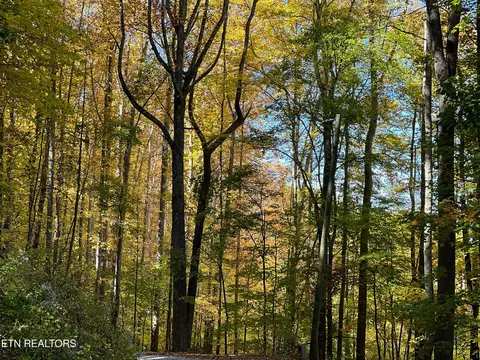 Emilyville Way, Cosby, TN 37722