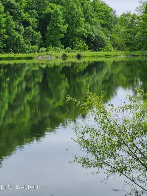 380 Seng Garden Rd, Tellico Plains, TN 37385