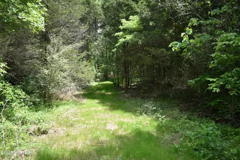 Shady Valley Rd, Ewing, VA 24248 photo 18