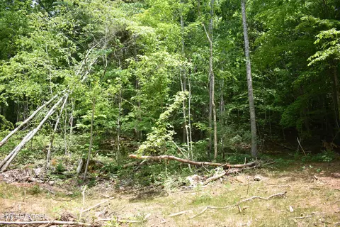 Shady Valley Rd, Ewing, VA 24248 photo 23