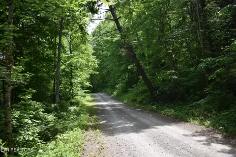 Shady Valley Rd, Ewing, VA 24248 photo 5