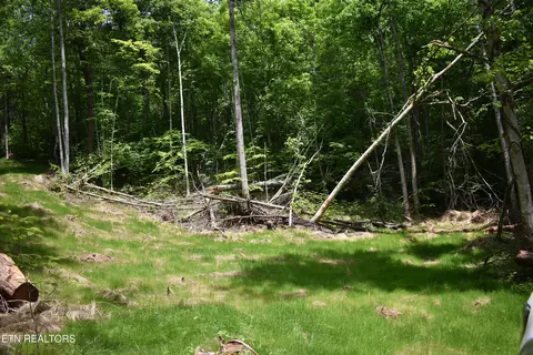 Shady Valley Rd, Ewing, VA 24248 photo 7
