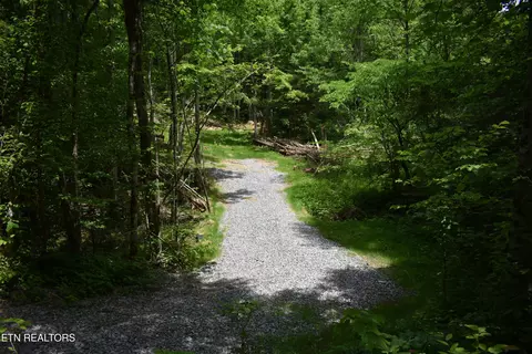 Shady Valley Rd, Ewing, VA 24248 photo 2