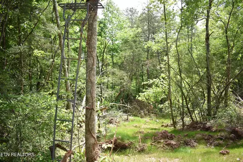 Shady Valley Rd, Ewing, VA 24248 photo 17