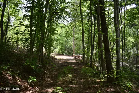 Shady Valley Rd, Ewing, VA 24248 photo 9